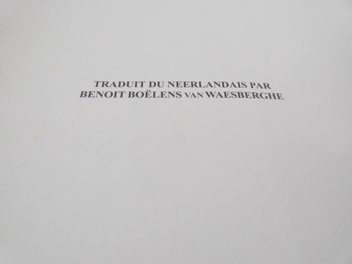 Set van 2 boeken van Cor Engelen over de middeleeuwen - foto 17