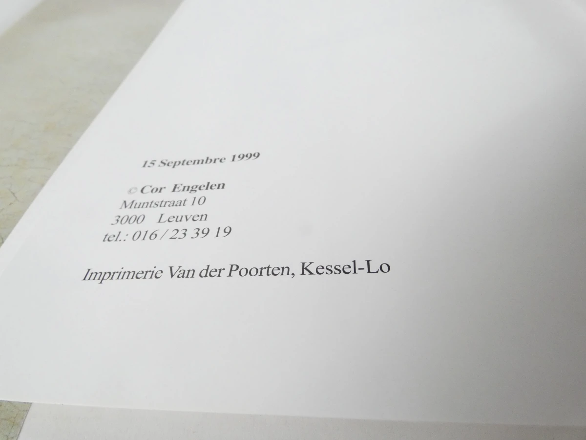 Set van 2 boeken van Cor Engelen over de middeleeuwen - foto 19