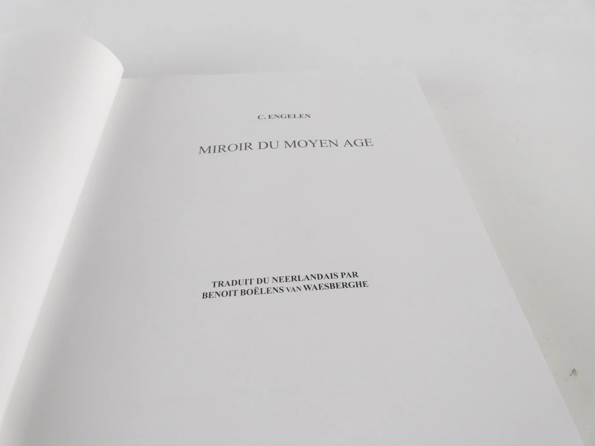 Set van 2 boeken van Cor Engelen over de middeleeuwen - foto 20