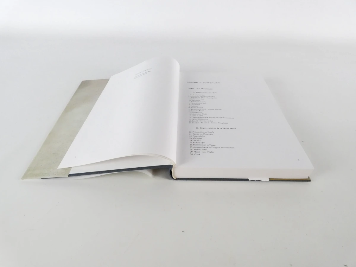 Set van 2 boeken van Cor Engelen over de middeleeuwen - foto 21