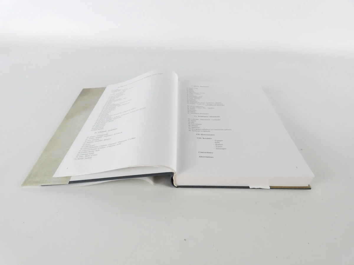 Set van 2 boeken van Cor Engelen over de middeleeuwen - foto 22