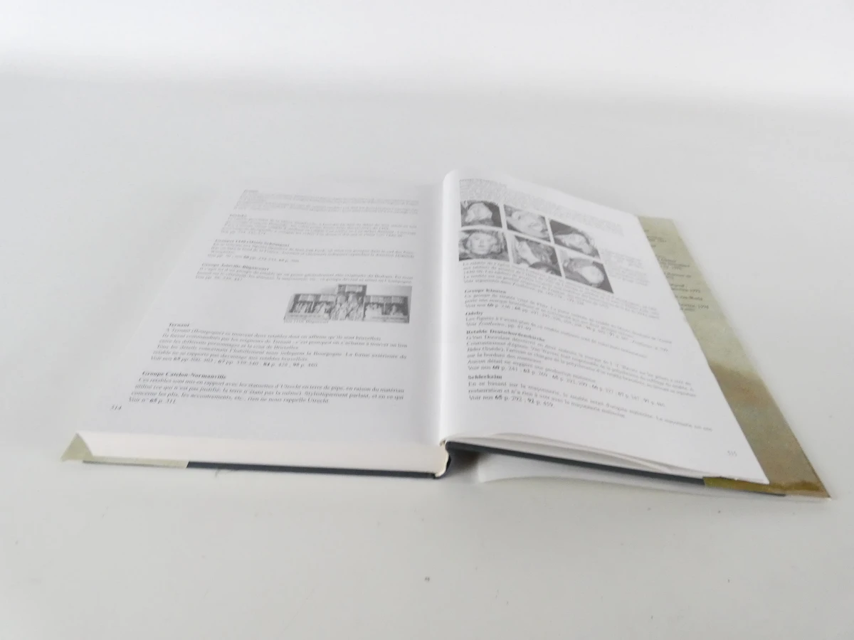 Set van 2 boeken van Cor Engelen over de middeleeuwen - foto 30