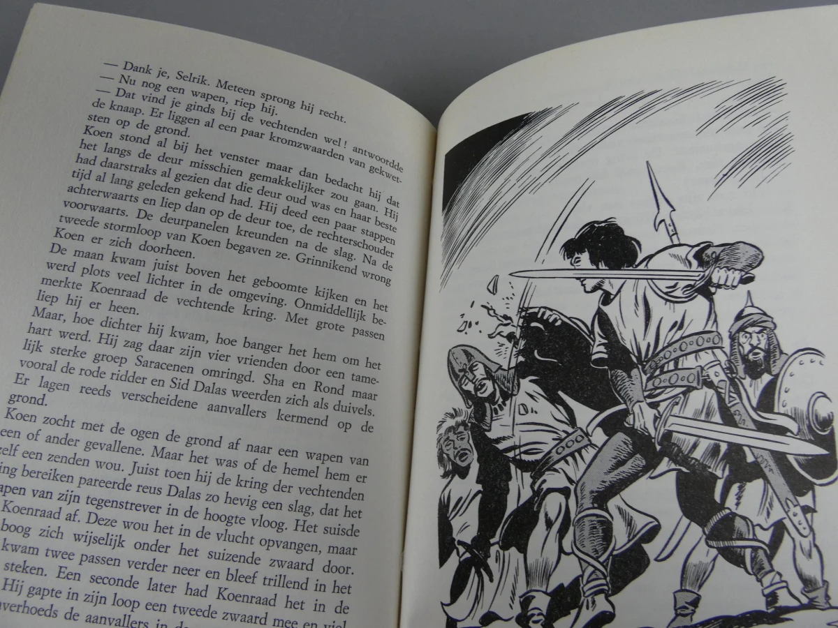 Boek de rode ridder - foto 8