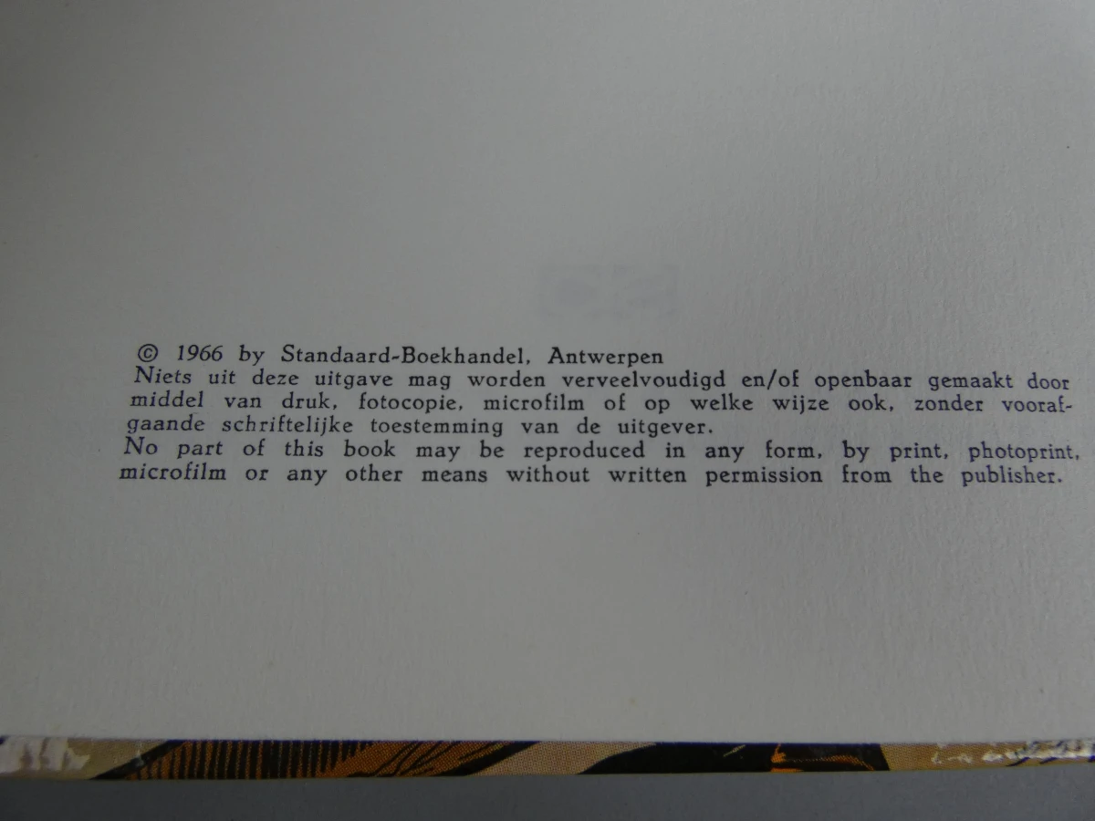 Boek de rode ridder - foto 5