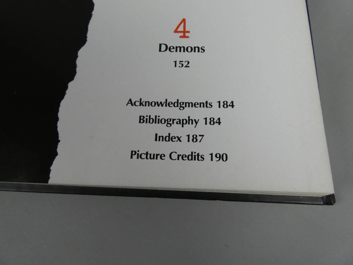 True crime boek - foto 6