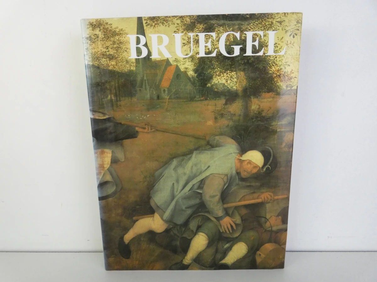 Kunstboek Bruegel: Het Volledig Oeuvre door Roger H. Marijnissen - foto 2