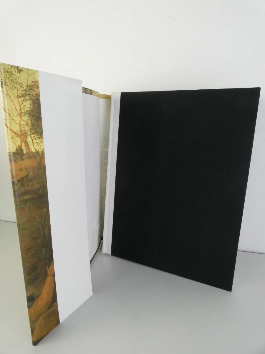 Kunstboek Bruegel: Het Volledig Oeuvre door Roger H. Marijnissen - foto 3