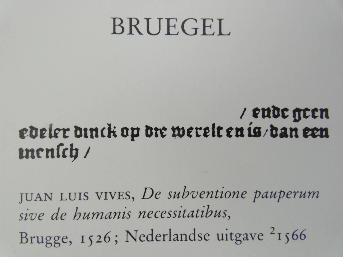 Kunstboek Bruegel: Het Volledig Oeuvre door Roger H. Marijnissen - foto 7