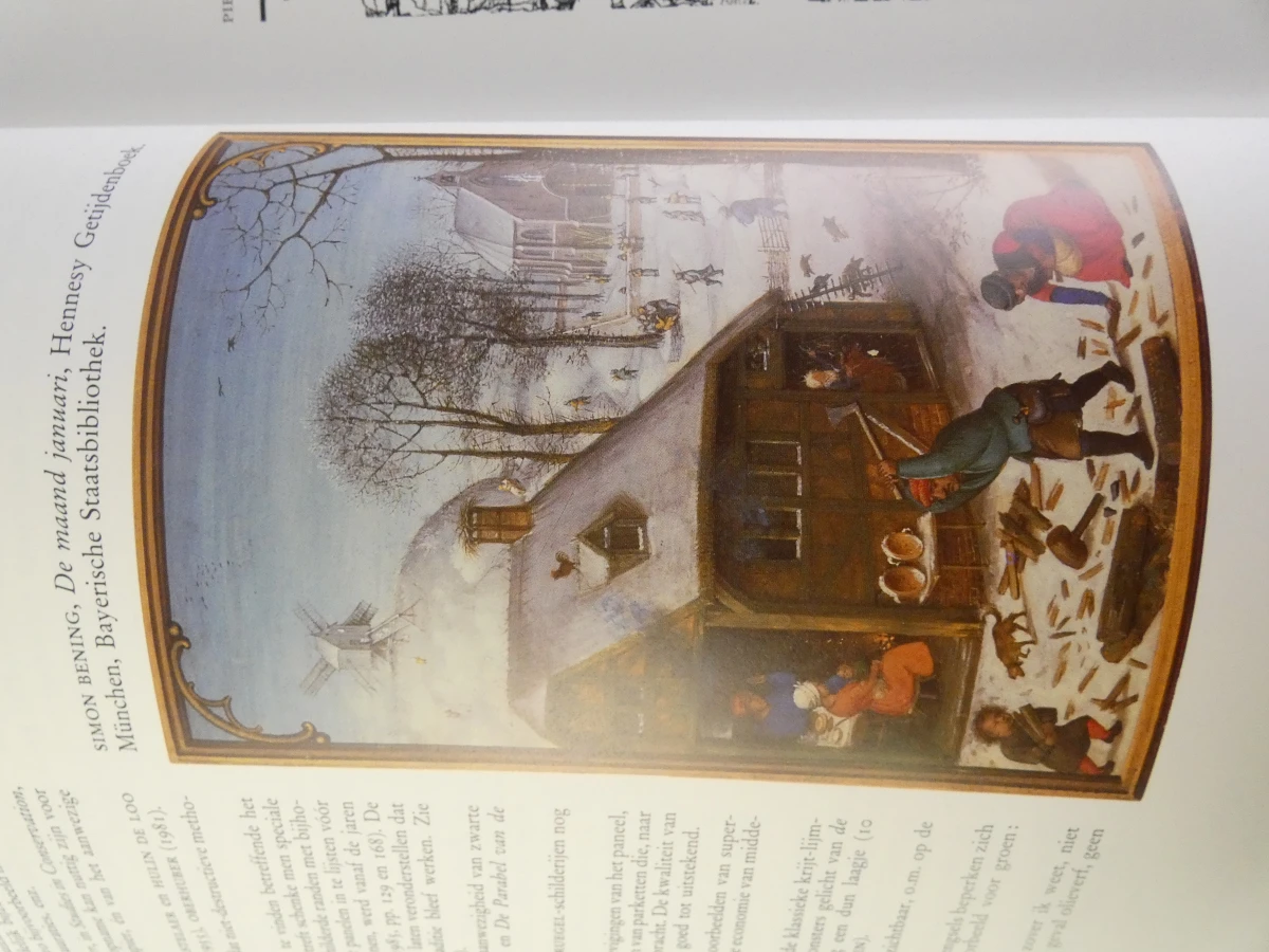 Kunstboek Bruegel: Het Volledig Oeuvre door Roger H. Marijnissen - foto 10