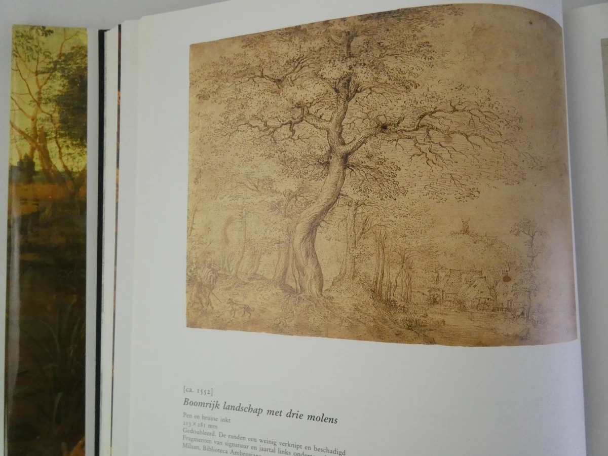 Kunstboek Bruegel: Het Volledig Oeuvre door Roger H. Marijnissen - foto 11