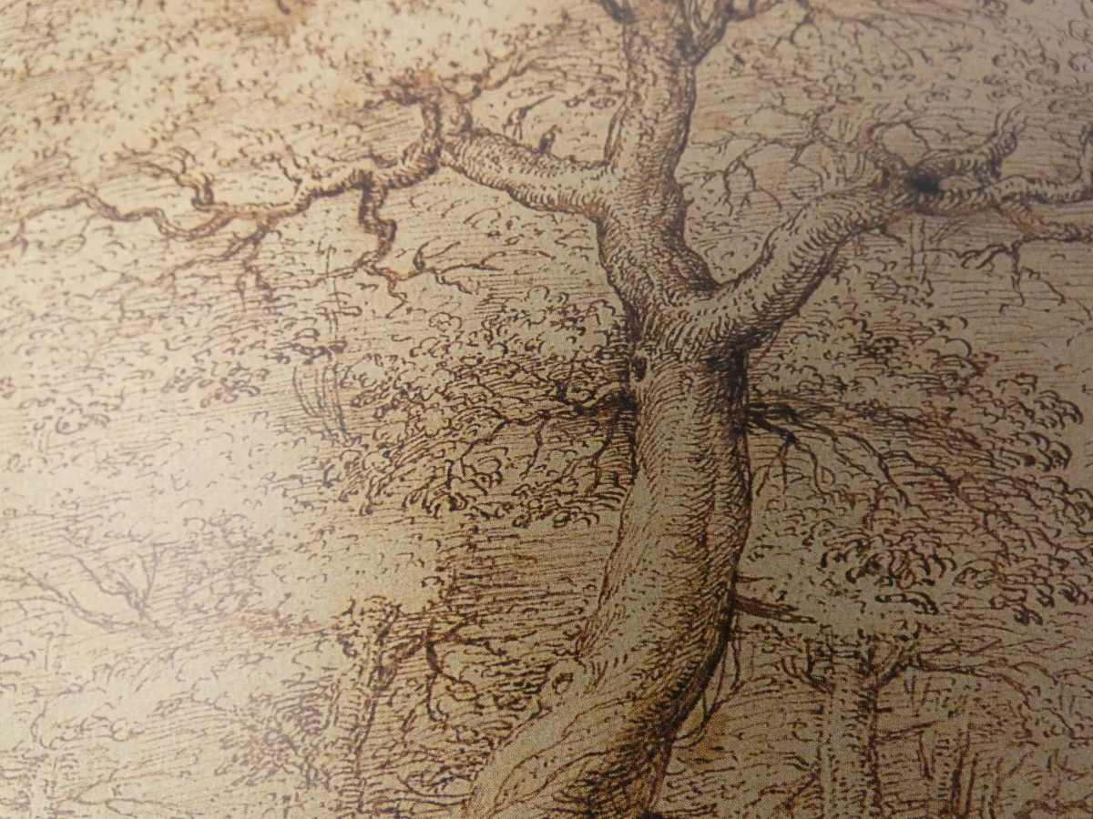 Kunstboek Bruegel: Het Volledig Oeuvre door Roger H. Marijnissen - foto 12