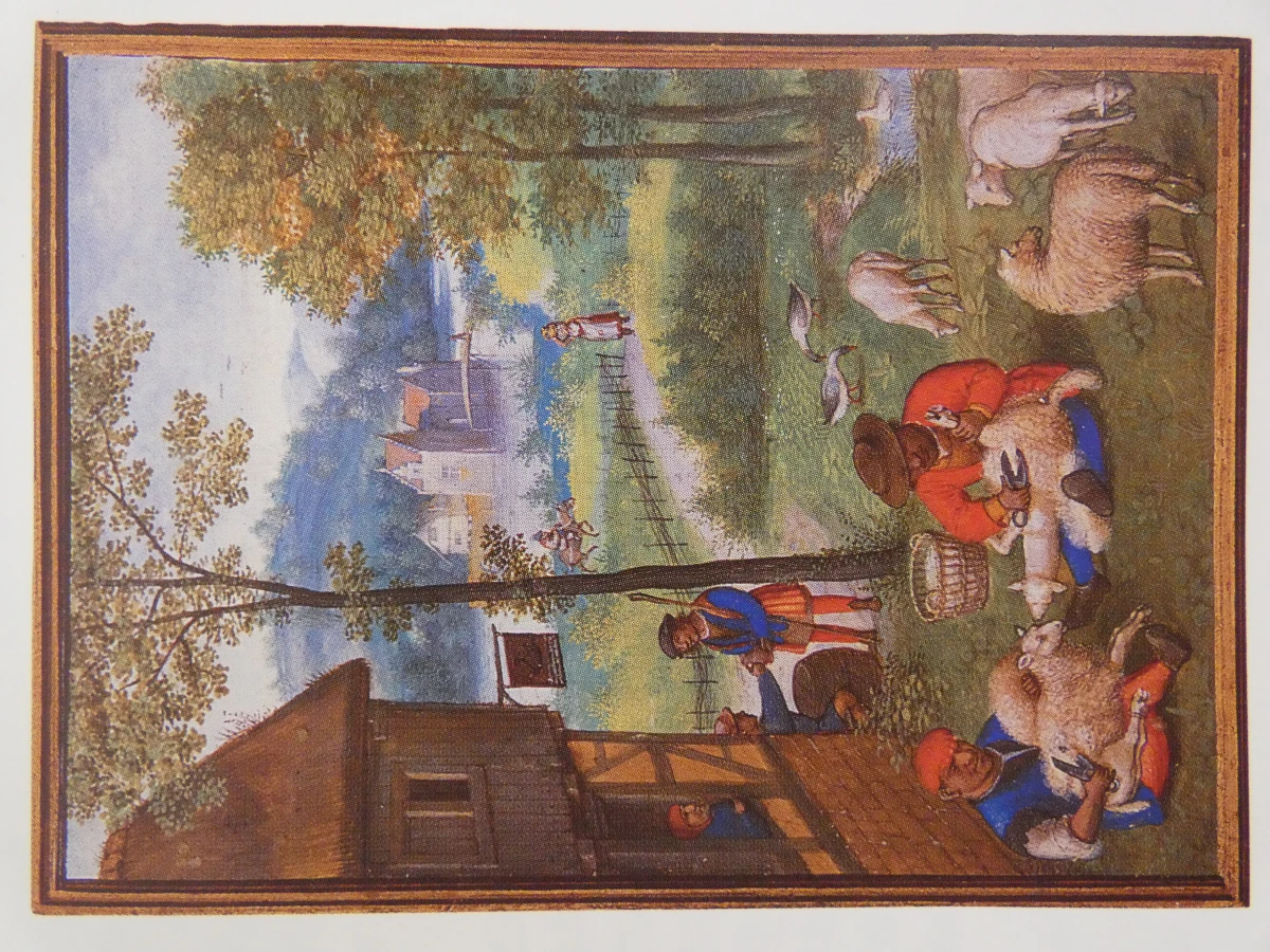 Kunstboek Bruegel: Het Volledig Oeuvre door Roger H. Marijnissen - foto 13