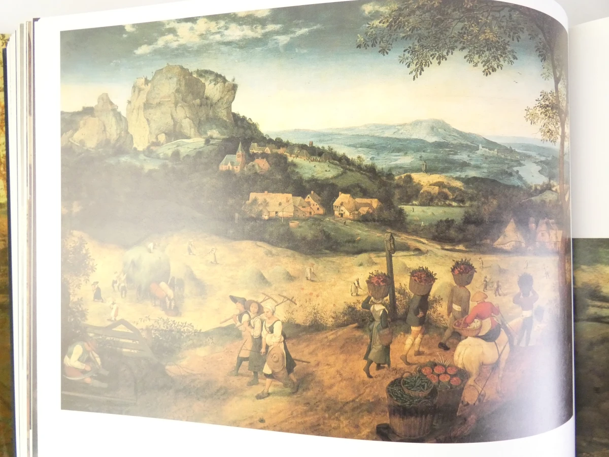 Kunstboek Bruegel: Het Volledig Oeuvre door Roger H. Marijnissen - foto 21
