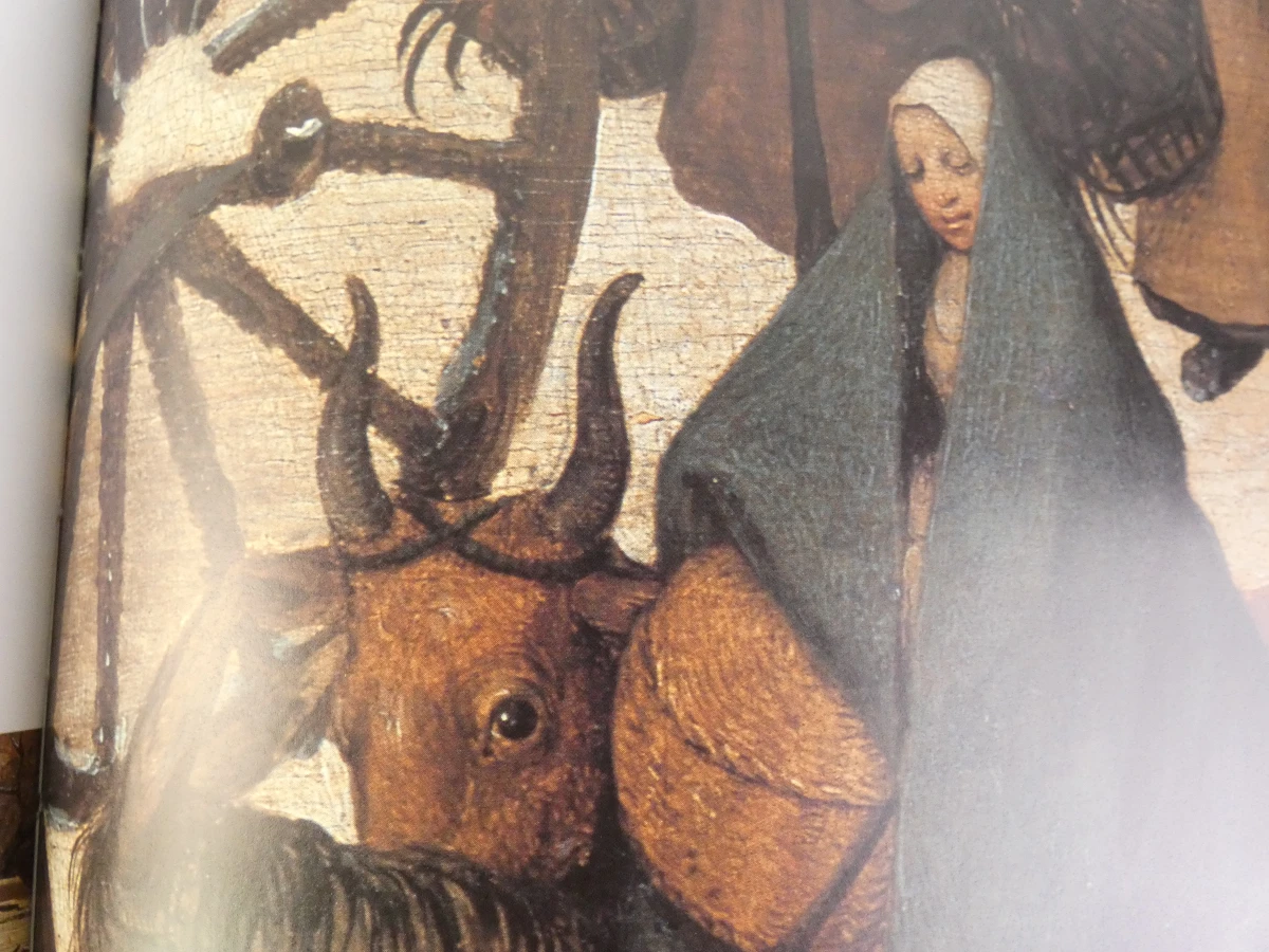 Kunstboek Bruegel: Het Volledig Oeuvre door Roger H. Marijnissen - foto 23