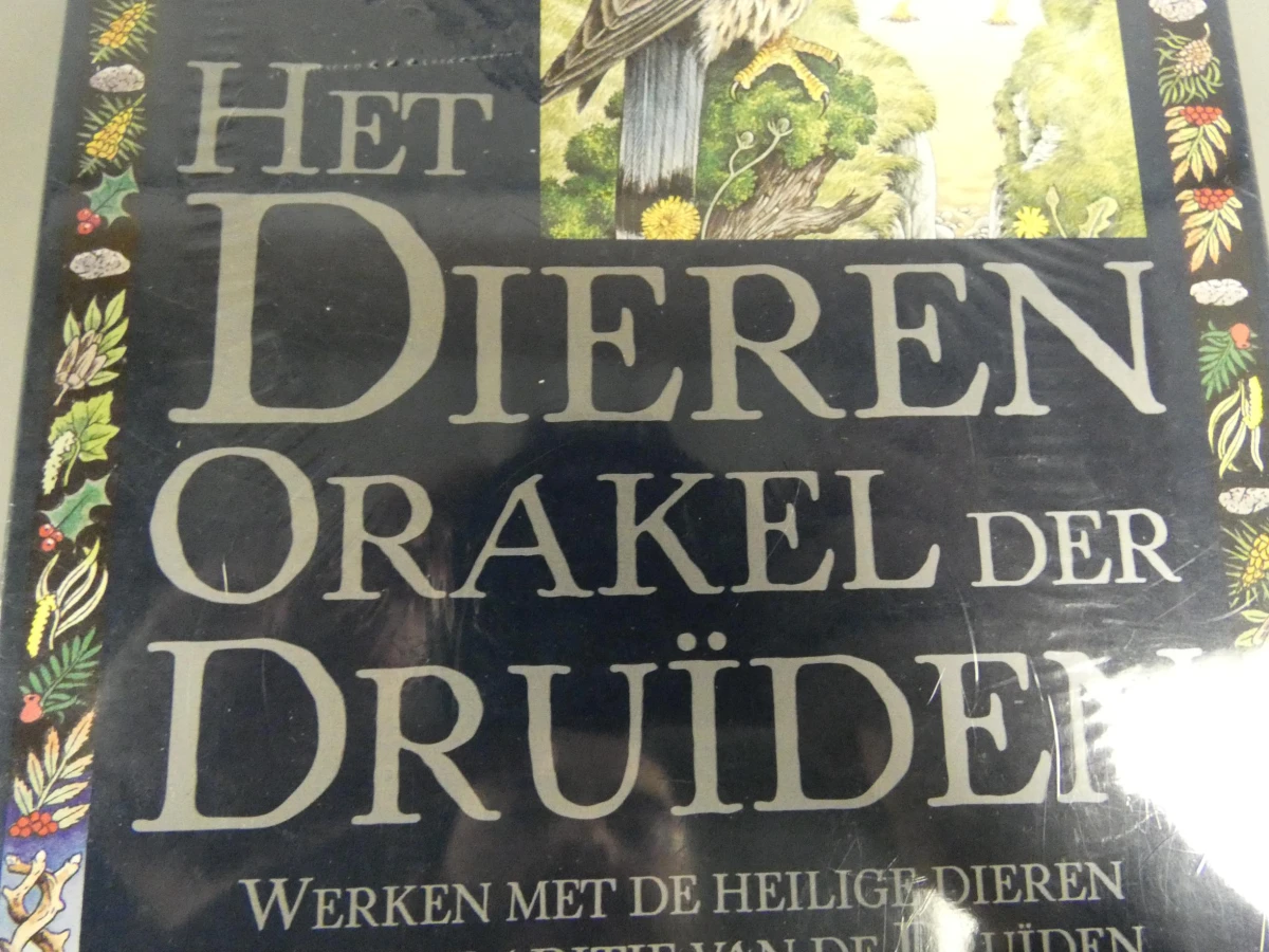 Boek dieren orakel in Druïden - foto 3