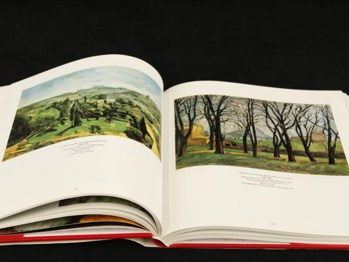 Cézanne - Hajo Düchting - Taschen - foto 5