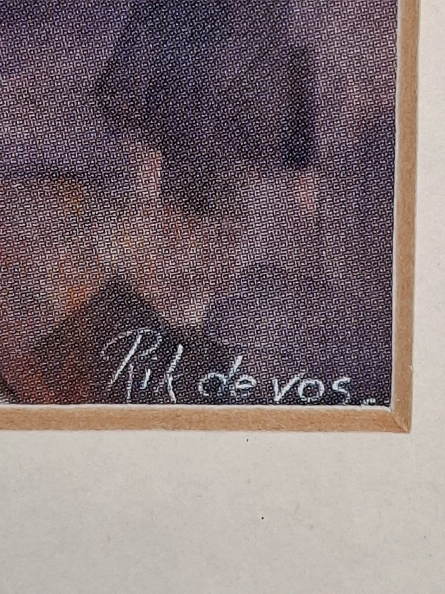 Ingelijst Kunstwerk door Rik de Vos – Expressief Surrealistisch Gezicht - foto 2