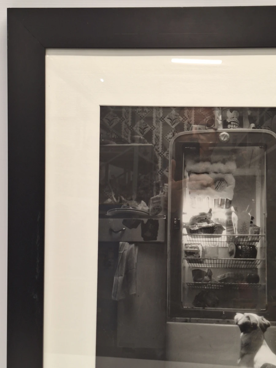Ingelijste zwart-wit kunstfoto - hond voor een openstaande vintage koelkast (inlijsting door Schleiper) - foto 7