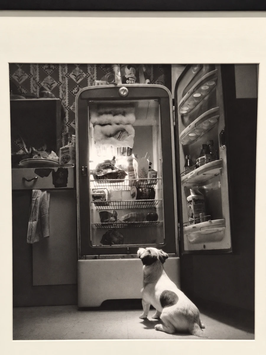 Ingelijste zwart-wit kunstfoto - hond voor een openstaande vintage koelkast (inlijsting door Schleiper) - foto 2