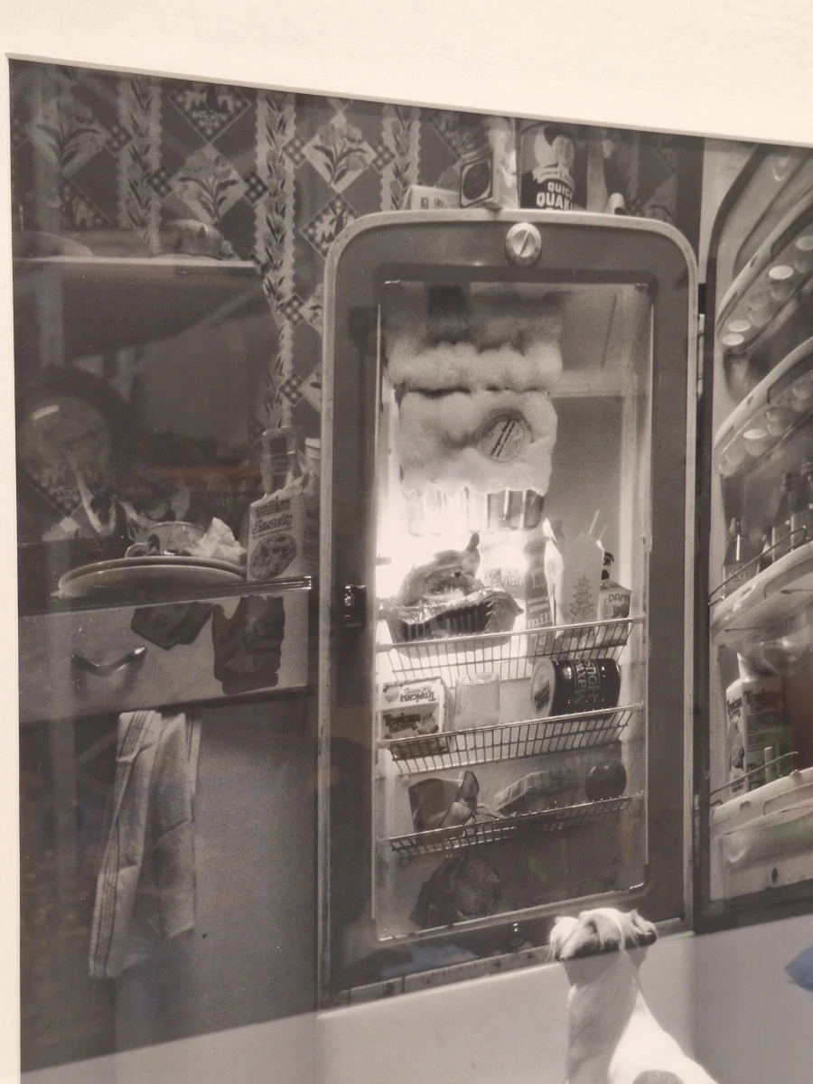 Ingelijste zwart-wit kunstfoto - hond voor een openstaande vintage koelkast (inlijsting door Schleiper) - foto 4