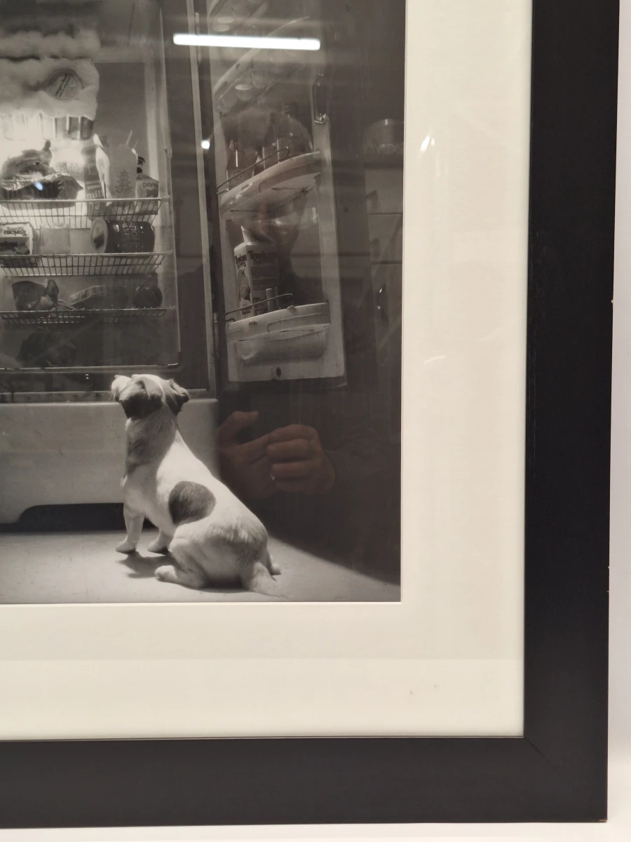 Ingelijste zwart-wit kunstfoto - hond voor een openstaande vintage koelkast (inlijsting door Schleiper) - foto 8