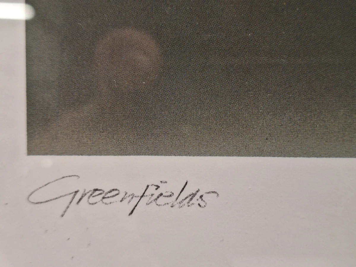 Set van 2 sfeervolle landschappen - "Greenfields" (ingeboekt en gesigneerd) - Henri Leonaert - foto 21