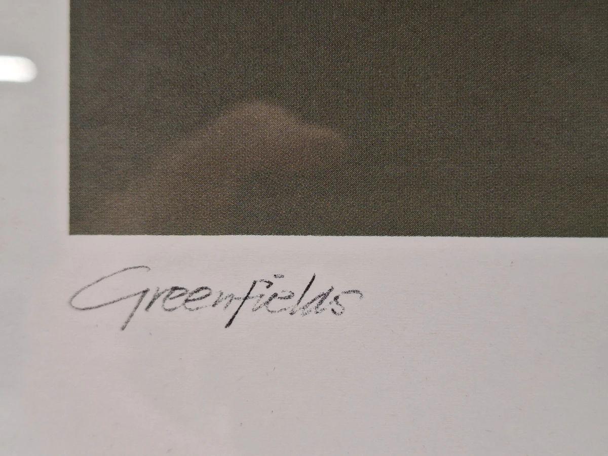 Set van 2 sfeervolle landschappen - "Greenfields" (ingeboekt en gesigneerd) - Henri Leonaert - foto 13