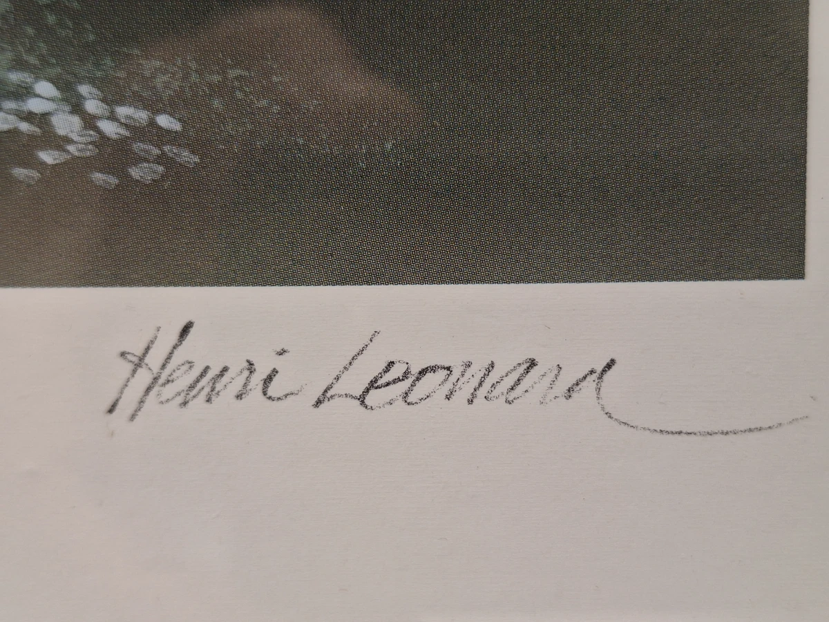 Set van 2 sfeervolle landschappen - "Greenfields" (ingeboekt en gesigneerd) - Henri Leonaert - foto 12