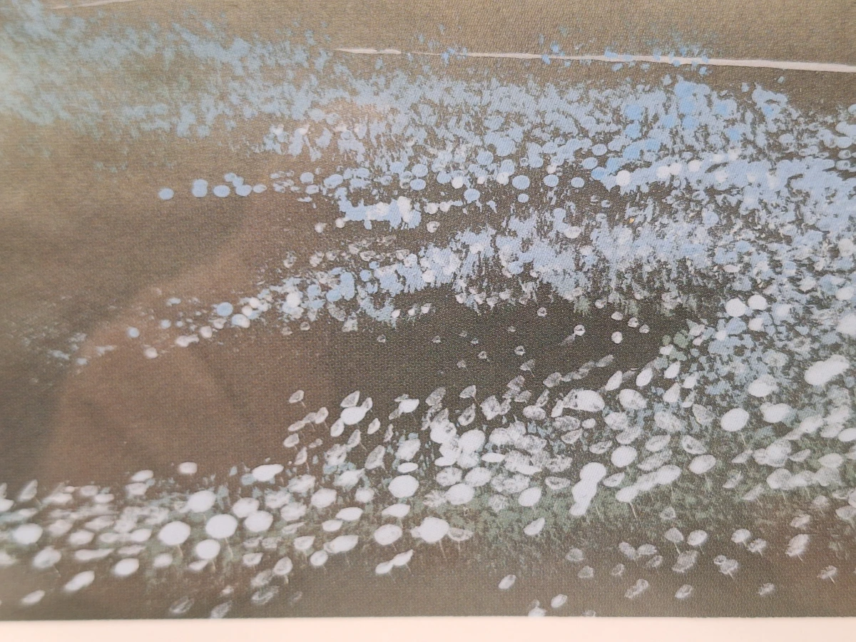 Set van 2 sfeervolle landschappen - "Greenfields" (ingeboekt en gesigneerd) - Henri Leonaert - foto 7