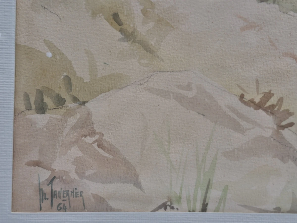 Set van 4 antieke/vintage aquarellen - kust, duinen en bos - gesigneerd Th. Tavernier (1962-1964) - foto 28