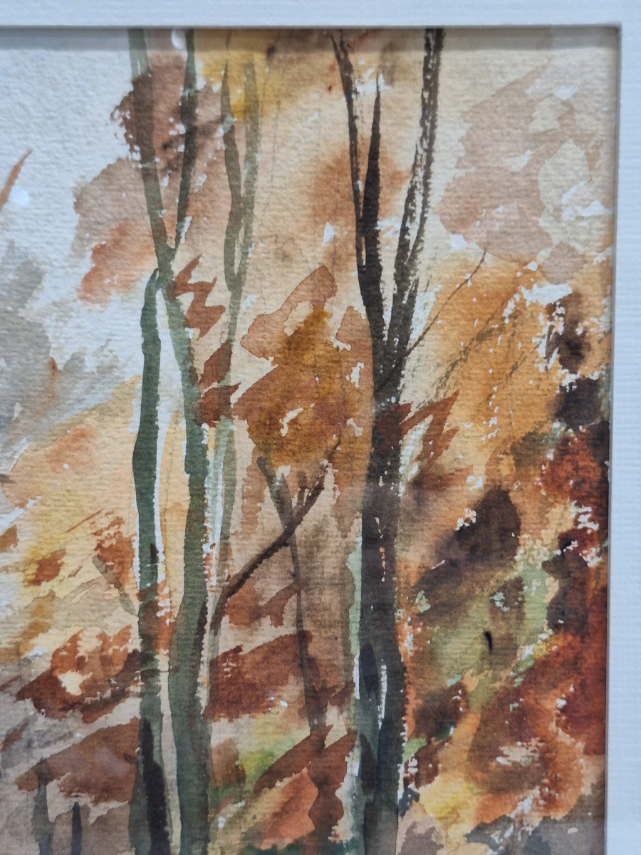 Set van 4 antieke/vintage aquarellen - kust, duinen en bos - gesigneerd Th. Tavernier (1962-1964) - foto 20