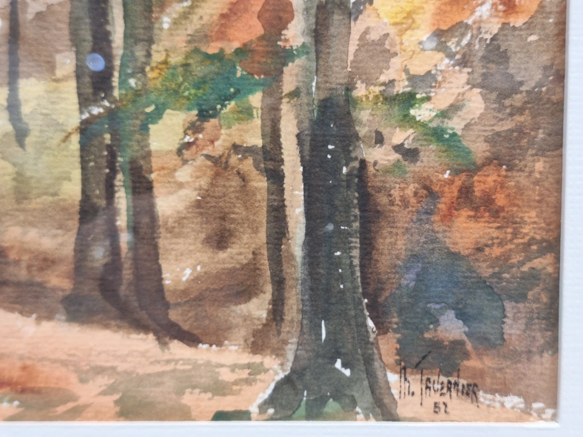 Set van 4 antieke/vintage aquarellen - kust, duinen en bos - gesigneerd Th. Tavernier (1962-1964) - foto 21