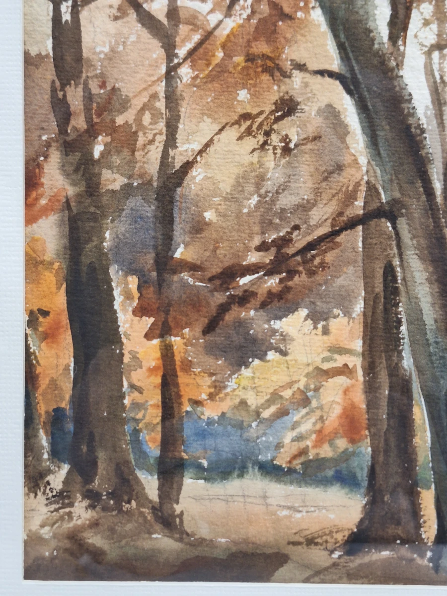 Set van 4 antieke/vintage aquarellen - kust, duinen en bos - gesigneerd Th. Tavernier (1962-1964) - foto 19