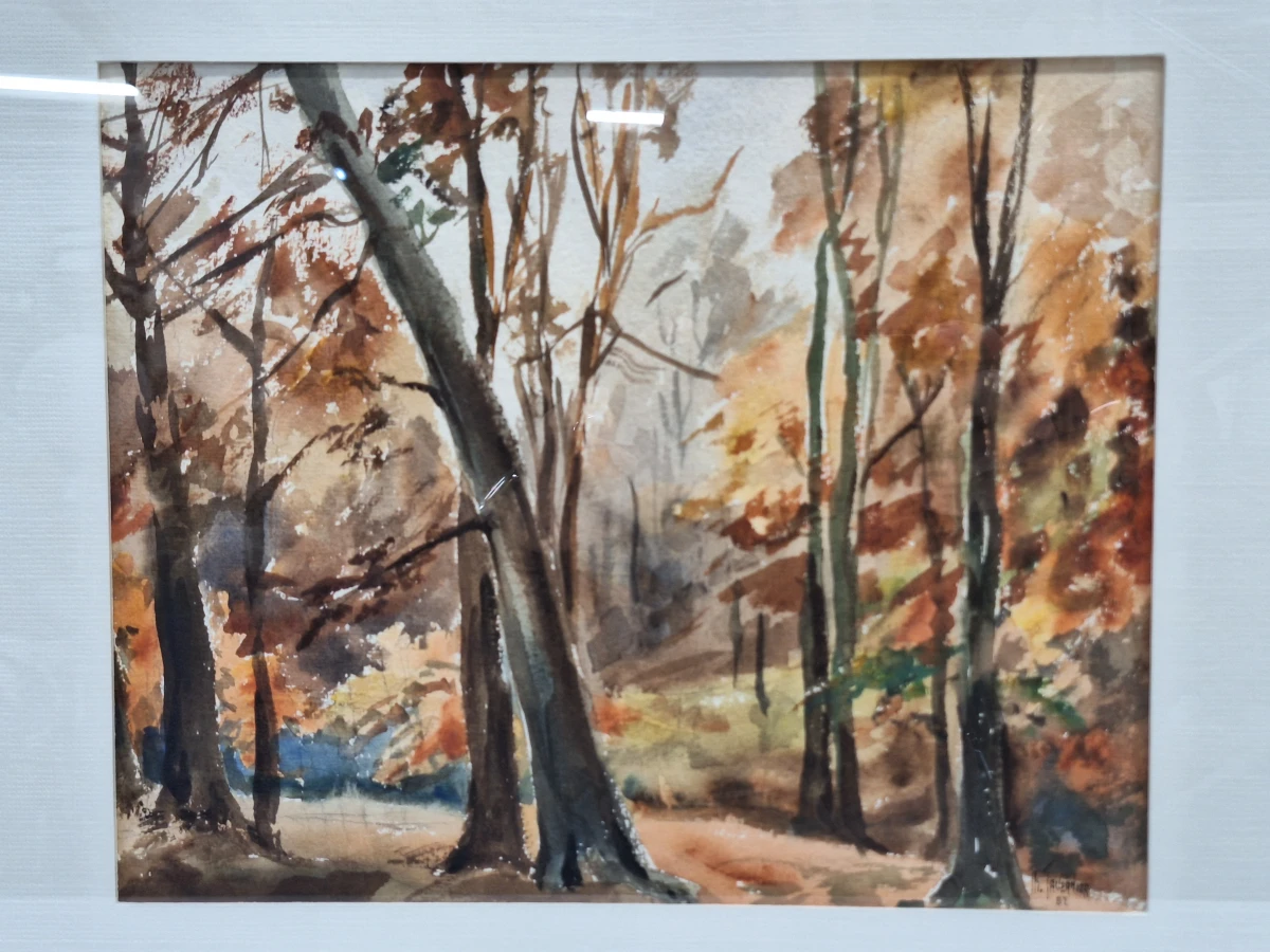 Set van 4 antieke/vintage aquarellen - kust, duinen en bos - gesigneerd Th. Tavernier (1962-1964) - foto 17