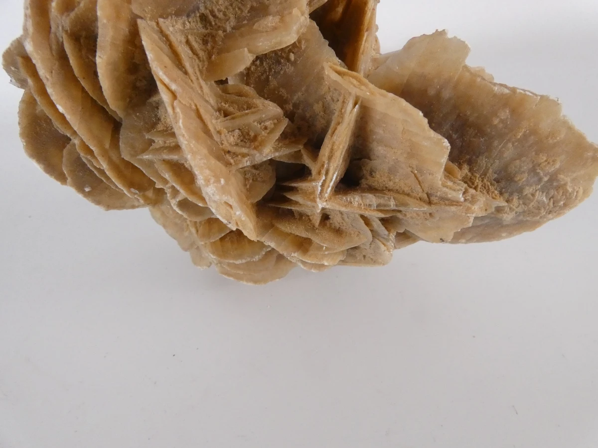 Collectie natuurlijke mineralen/fossielen | Woestijnroos, ammonietfossiel en agaatplak - foto 9