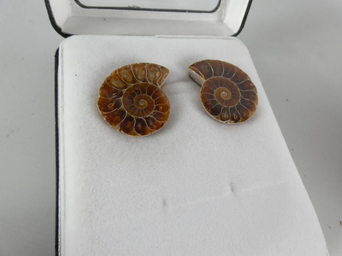 Collectie natuurlijke mineralen/fossielen | Woestijnroos, ammonietfossiel en agaatplak - foto 5