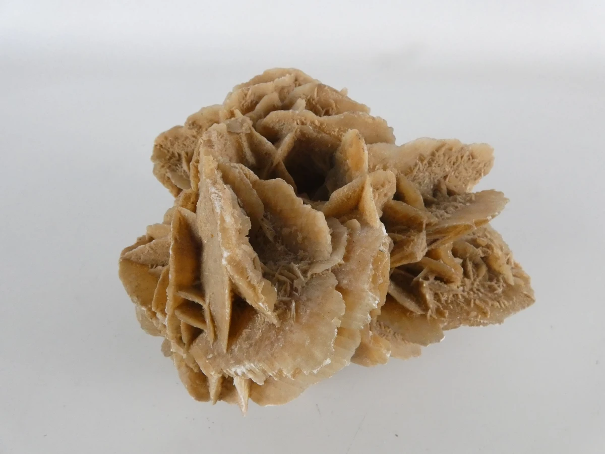Collectie natuurlijke mineralen/fossielen | Woestijnroos, ammonietfossiel en agaatplak - foto 13