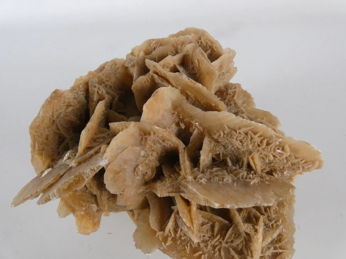 Collectie natuurlijke mineralen/fossielen | Woestijnroos, ammonietfossiel en agaatplak - foto 7