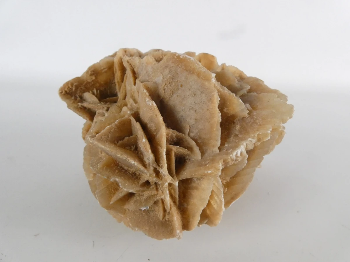 Collectie natuurlijke mineralen/fossielen | Woestijnroos, ammonietfossiel en agaatplak - foto 3