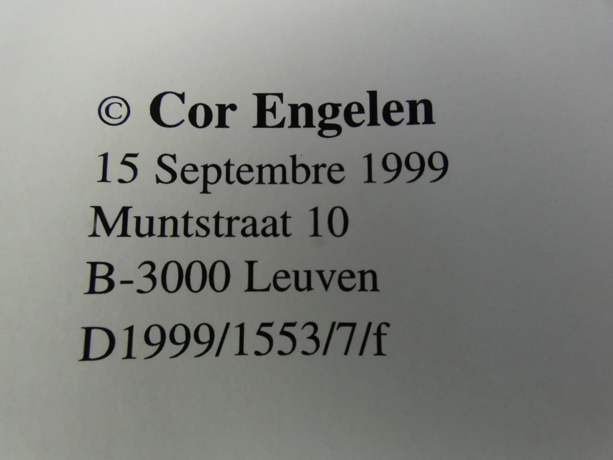 Set van 2 boeken van Cor Engelen over de middeleeuwen - foto 7