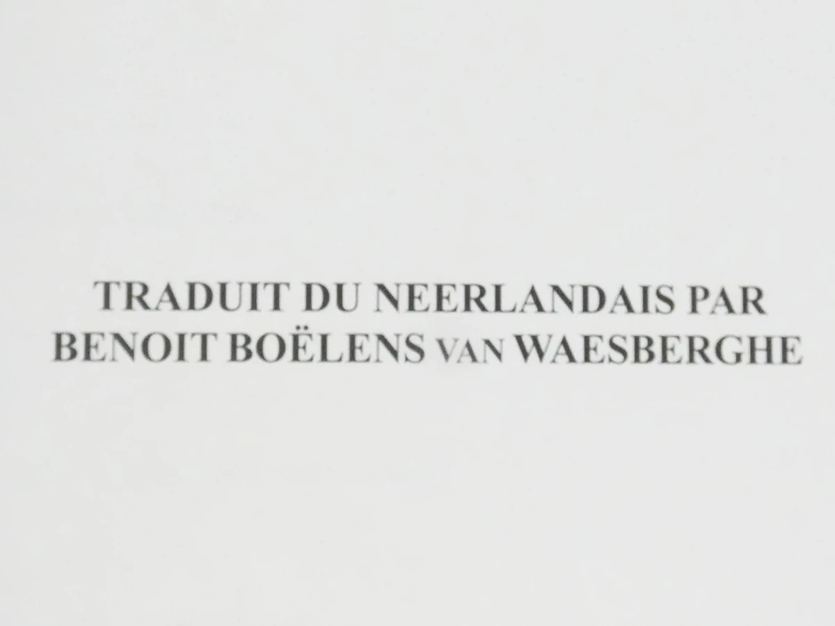 Set van 2 boeken van Cor Engelen over de middeleeuwen - foto 27
