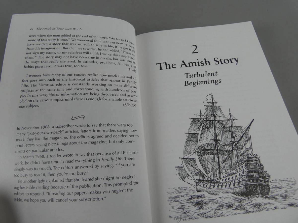 Boek The Amish - foto 5