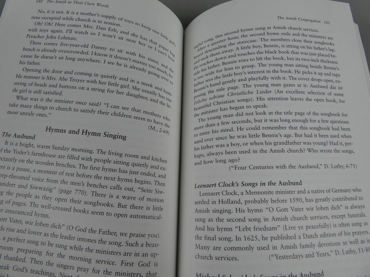 Boek The Amish - foto 6
