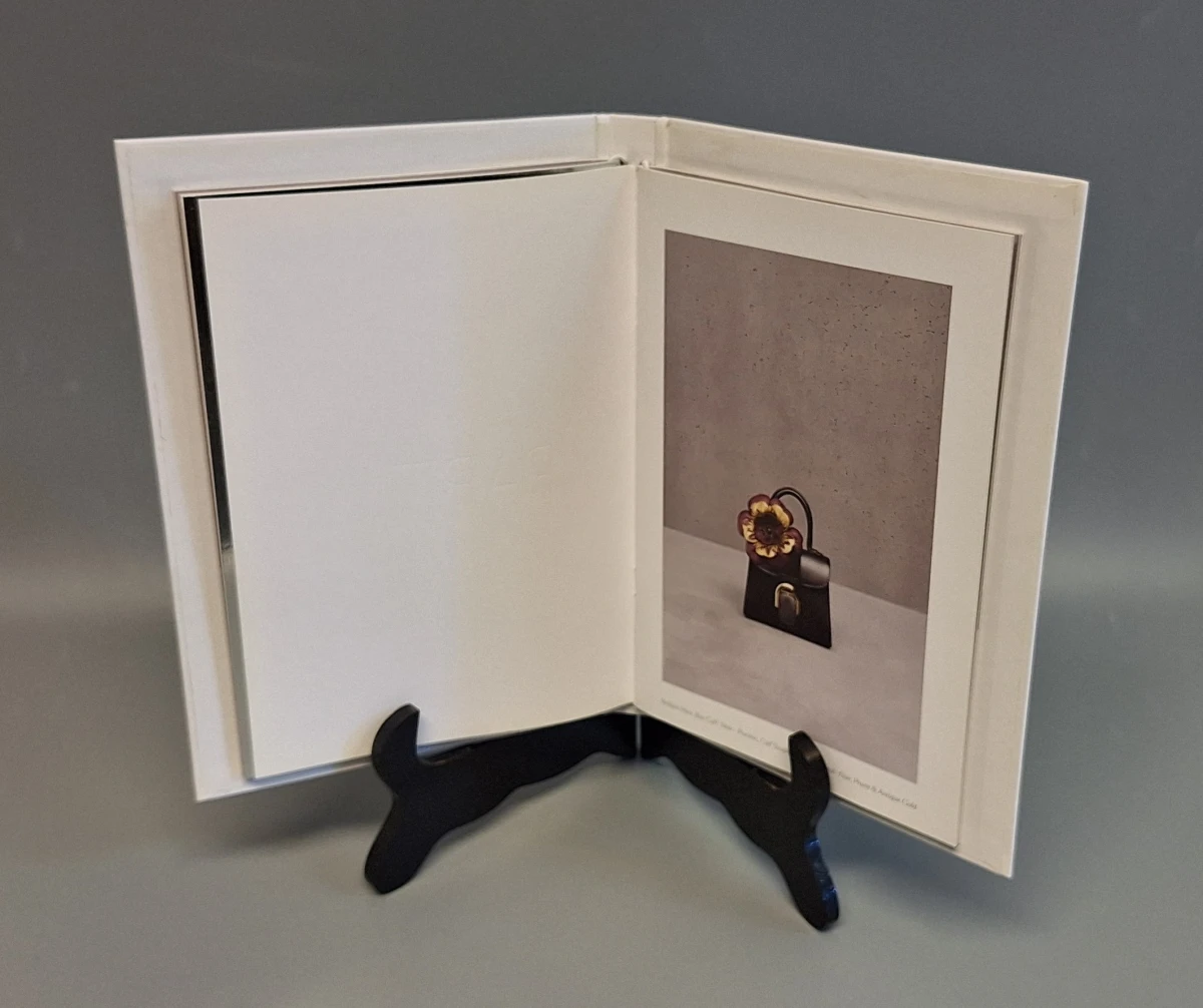 Luxecatalogus Delvaux handtassen 2017/2018 - foto 9
