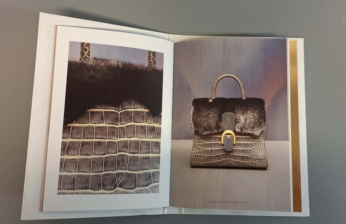 Luxecatalogus Delvaux handtassen 2017/2018 - foto 13