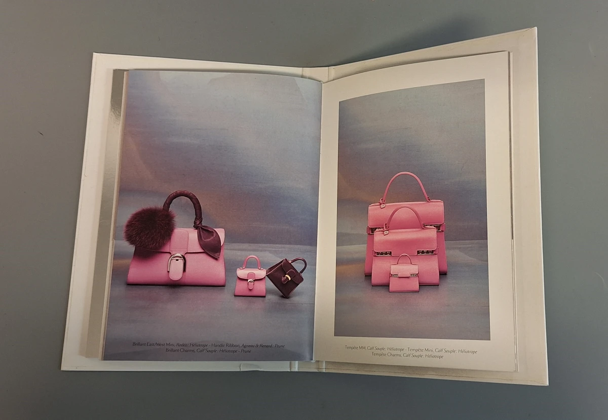 Luxecatalogus Delvaux handtassen 2017/2018 - foto 12