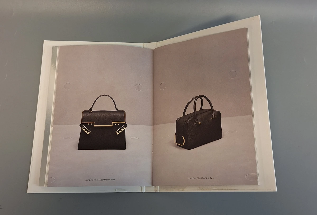 Luxecatalogus Delvaux handtassen 2017/2018 - foto 11