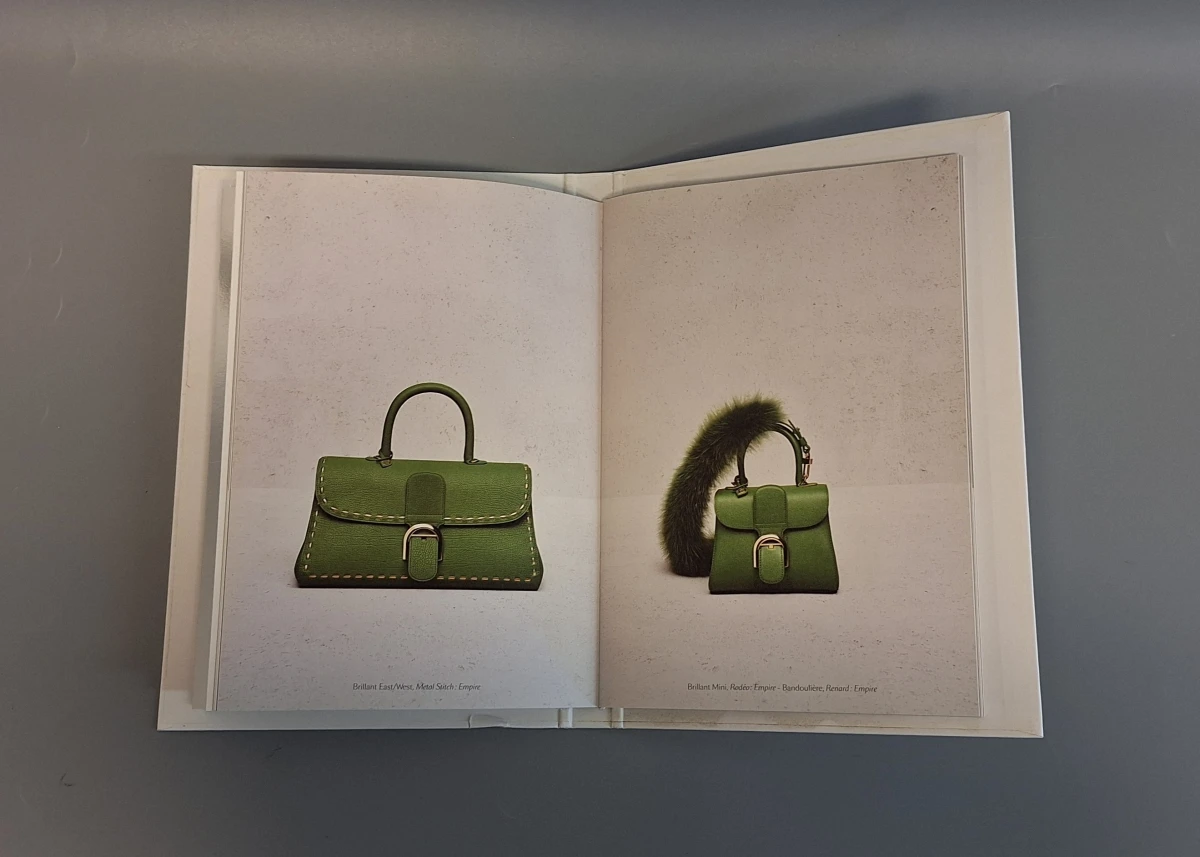 Luxecatalogus Delvaux handtassen 2017/2018 - foto 10