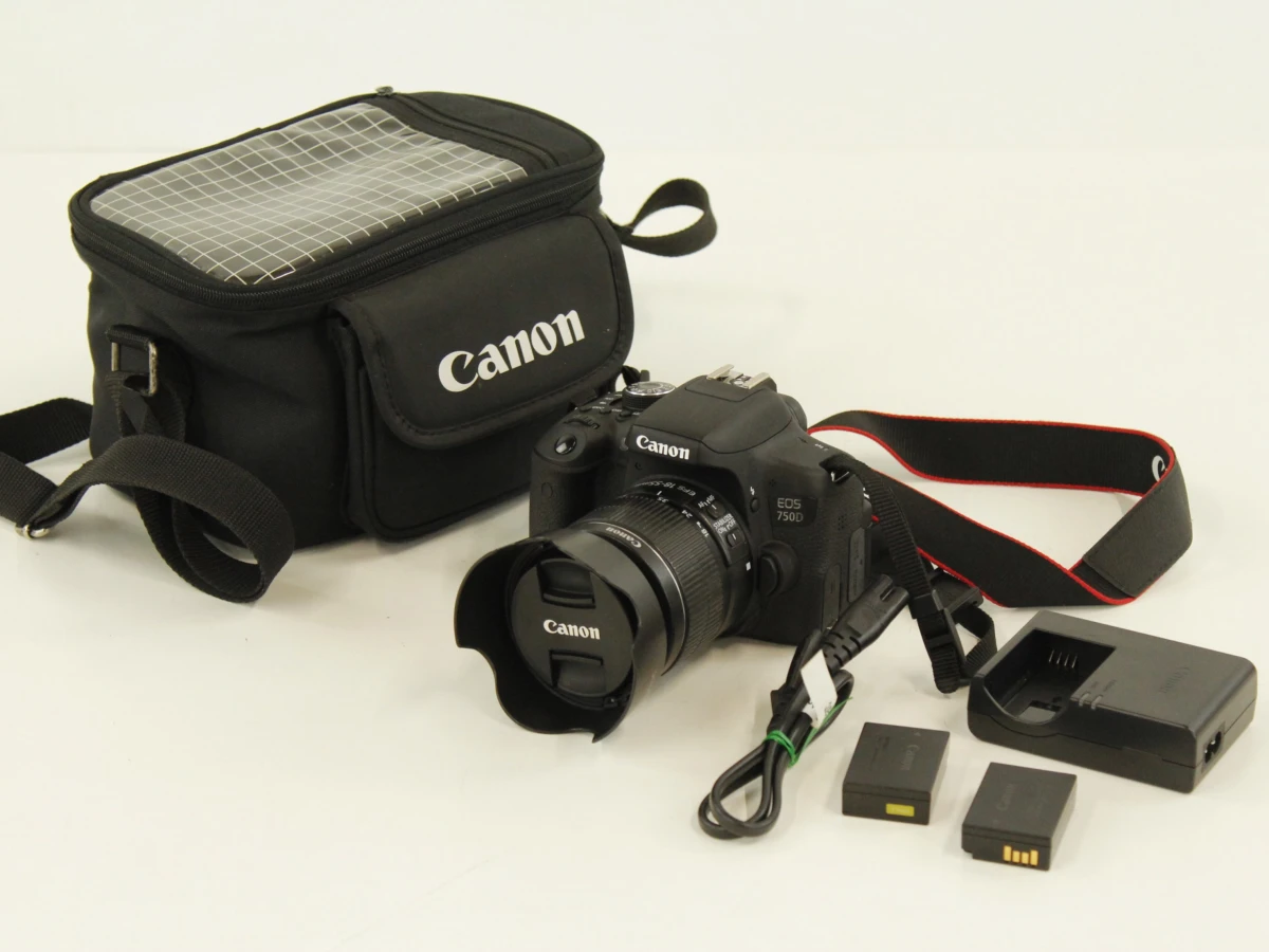 Canon EOS 750D (24.2 MP) + EF-S 18-55mm IS Lens (85 mm) - foto 1