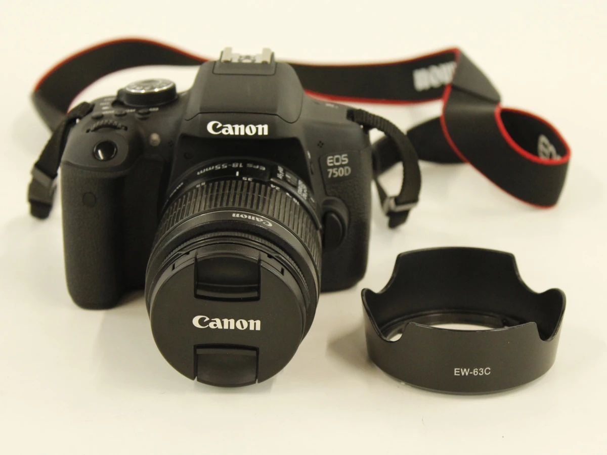 Canon EOS 750D (24.2 MP) + EF-S 18-55mm IS Lens (85 mm) - foto 3